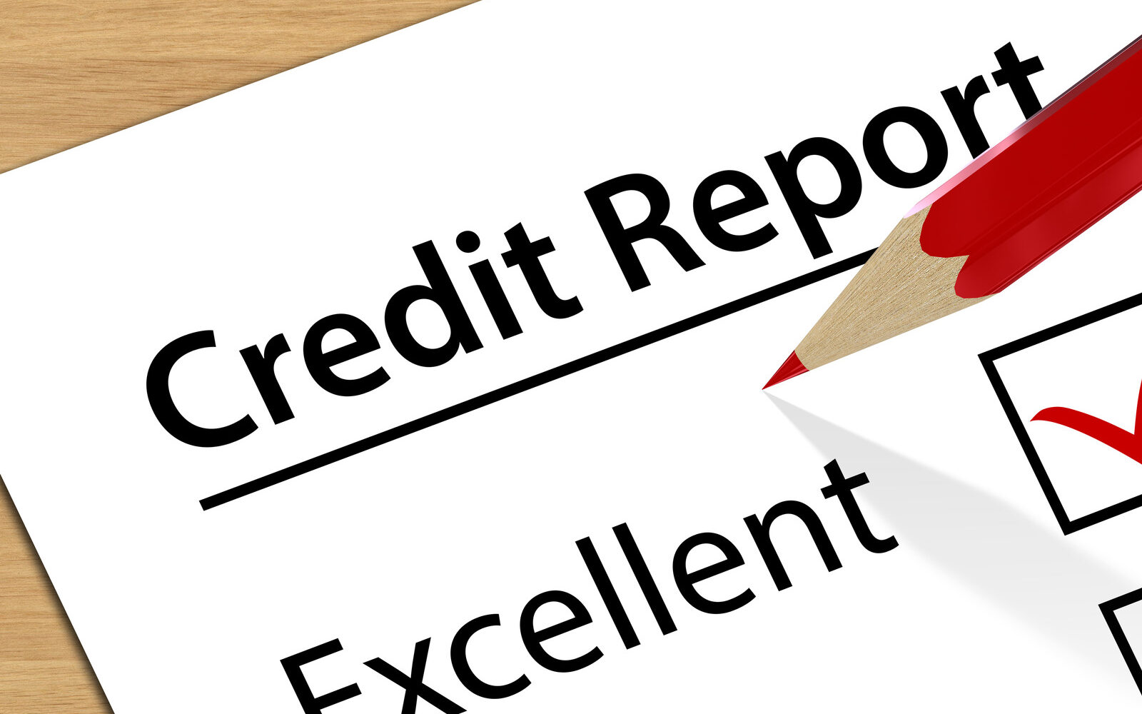 image of a credit check report