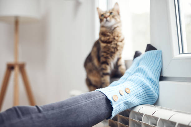 womans feet with woolen socks domestic cat enjoying inside home on the radiator